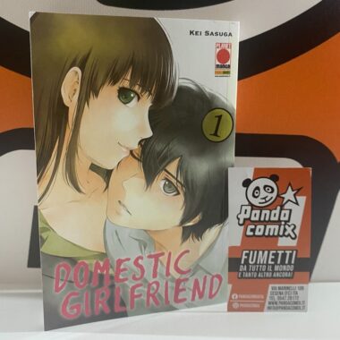 Domestic Girlfriend