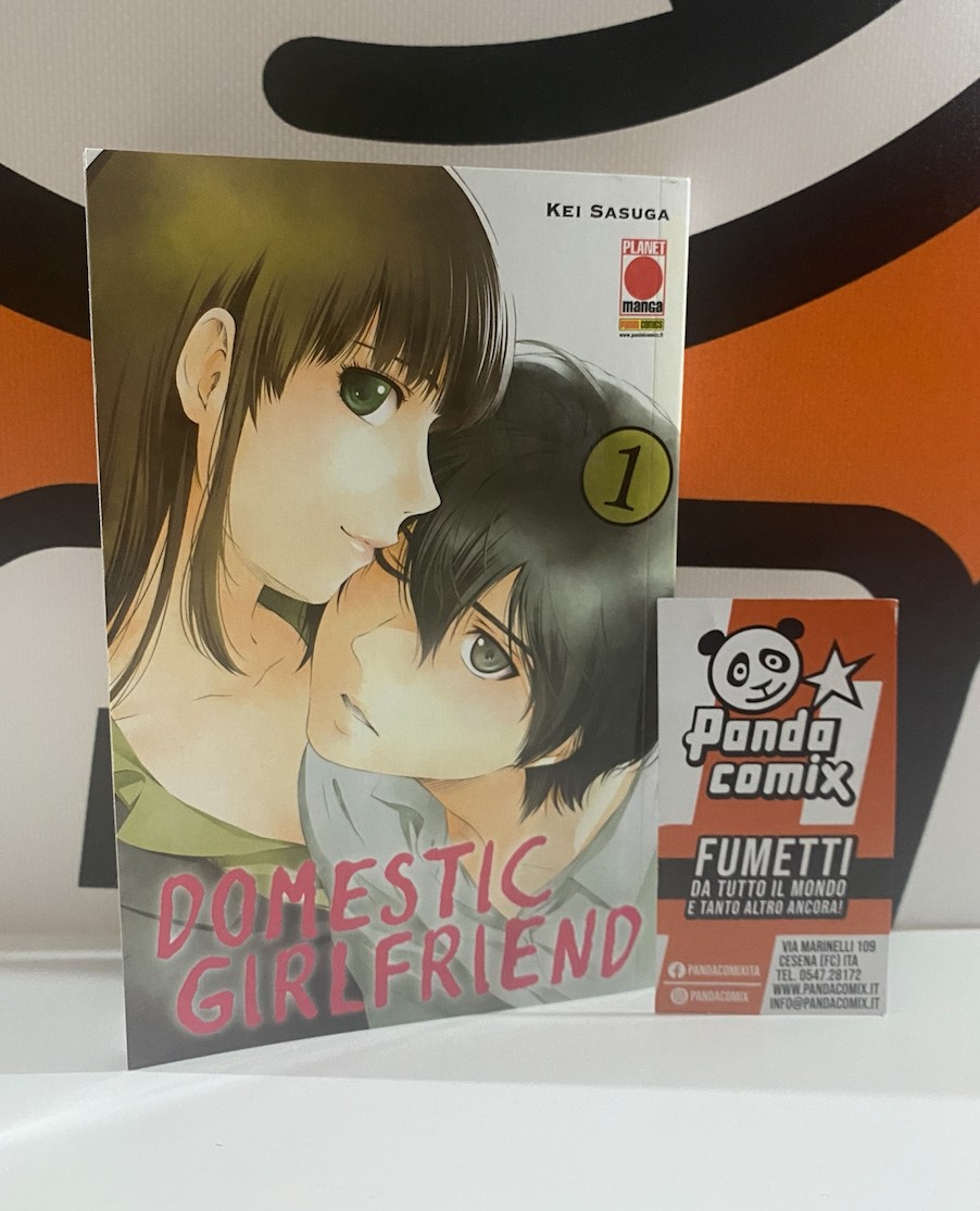 Domestic Girlfriend