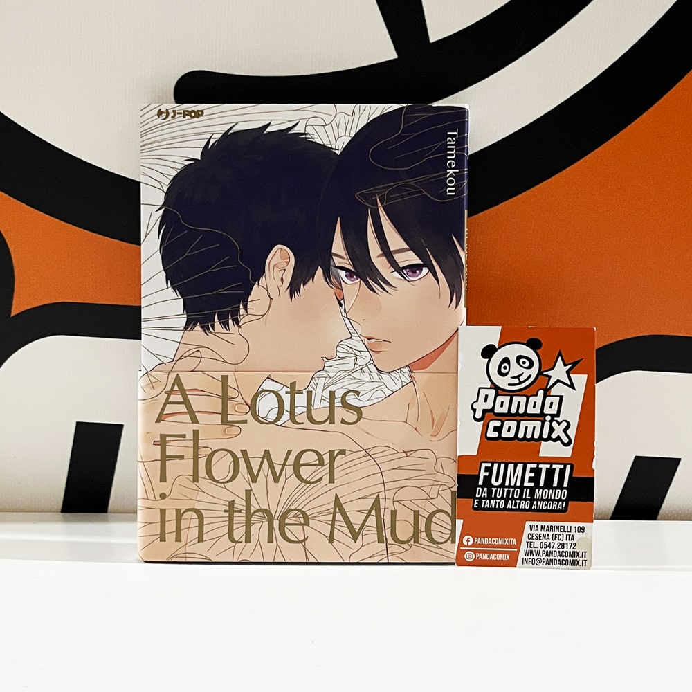 A Lotus Flower in the Mud