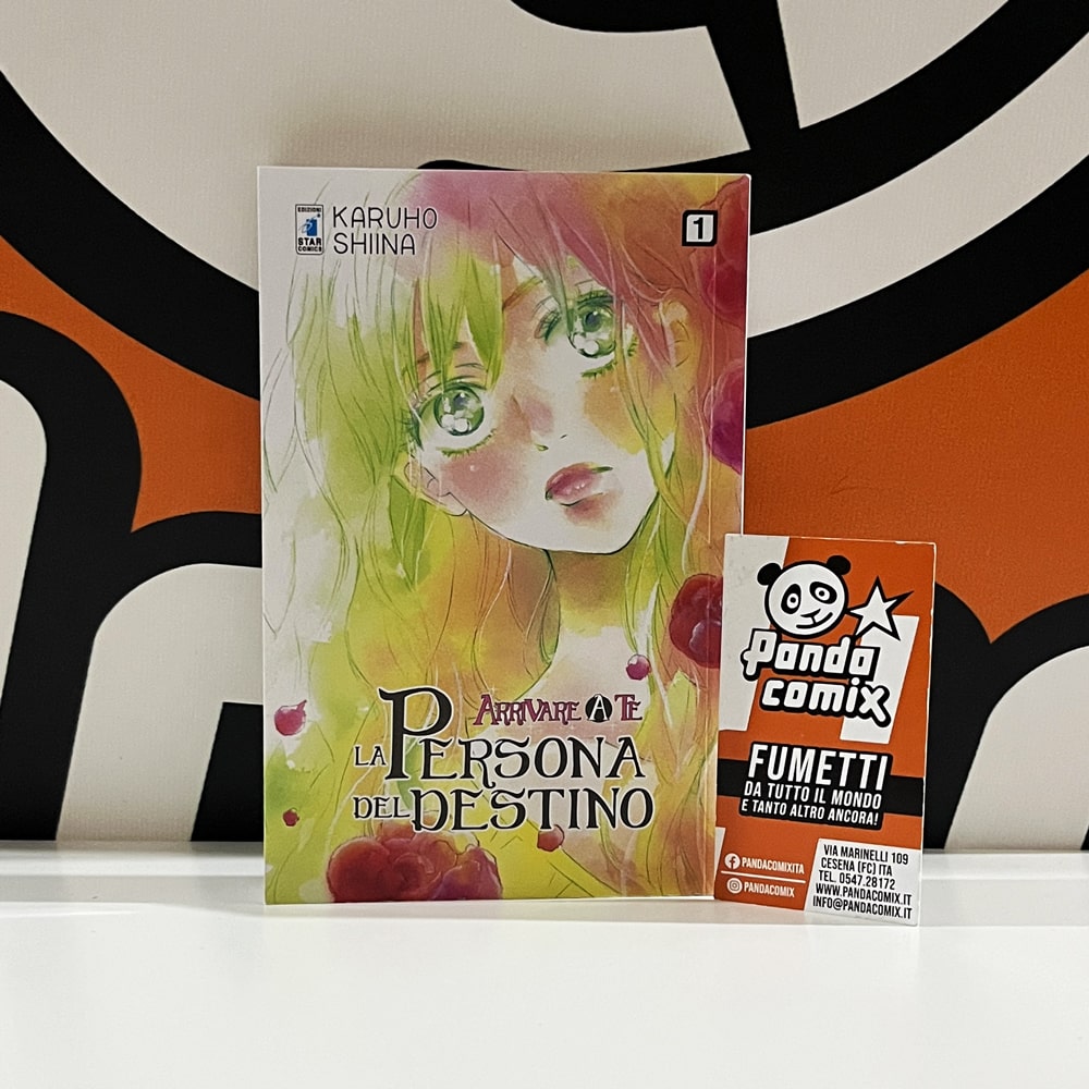 Arrivare a Te - La Persona del Destino